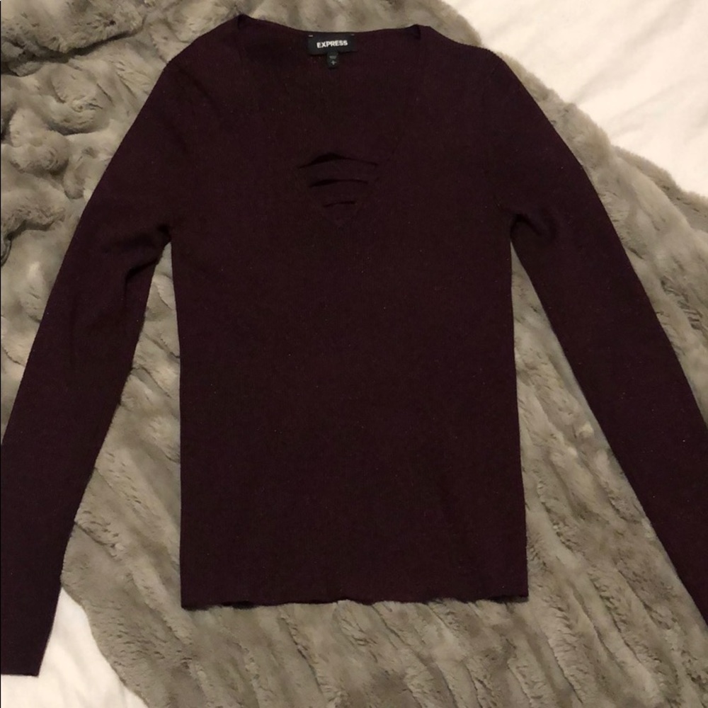 Express fitted sweater